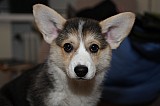 IMG_3349.jpg