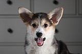 IMG_3472.jpg