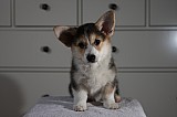 IMG_3477.jpg