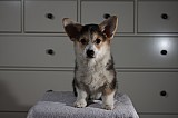 IMG_3479.jpg