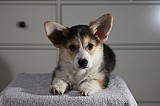 IMG_3485.jpg