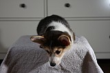 IMG_3487.jpg