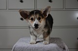 IMG_3492.jpg