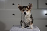 IMG_3499.jpg