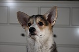 IMG_3507.jpg