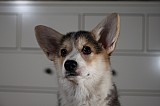 IMG_3508.jpg