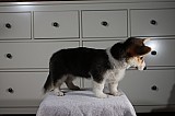 IMG_3513.jpg