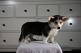 IMG_3515.jpg
