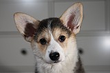 IMG_3528.jpg
