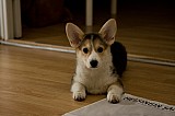IMG_3848.jpg