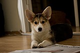 IMG_3851.jpg