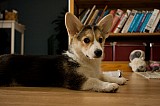 IMG_3858.jpg