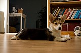IMG_3860.jpg