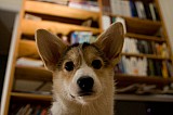 IMG_3862.jpg