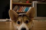 IMG_3863.jpg