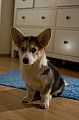IMG_3867.jpg