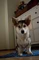 IMG_3884.jpg