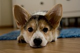 IMG_3896.jpg