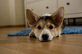 IMG_3897.jpg