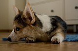 IMG_3898.jpg