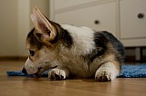 IMG_3899.jpg