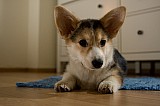 IMG_3901.jpg