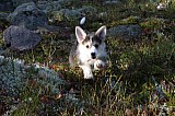 IMG_3242.jpg