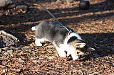 IMG_3255.jpg