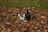 IMG_3077.jpg