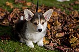 IMG_3083.jpg