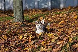IMG_3096.jpg