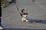 IMG_3104.jpg