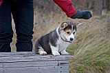 IMG_3114.jpg