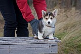 IMG_3122.jpg