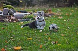 IMG_3134.jpg