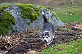 IMG_3136.jpg