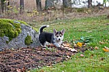 IMG_3138.jpg