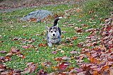IMG_3146.jpg