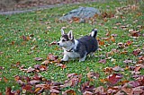 IMG_3148.jpg