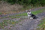 IMG_3156.jpg