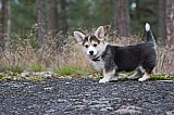 IMG_3165.jpg
