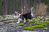 IMG_3169.jpg