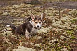 IMG_3170.jpg