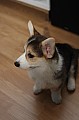 IMG_3581.jpg
