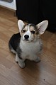 IMG_3582.jpg