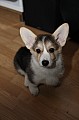 IMG_3583.jpg