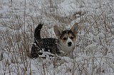 IMG_3591.jpg