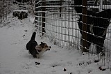 IMG_3599.jpg