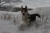 IMG_3616.jpg