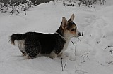 IMG_3646.jpg